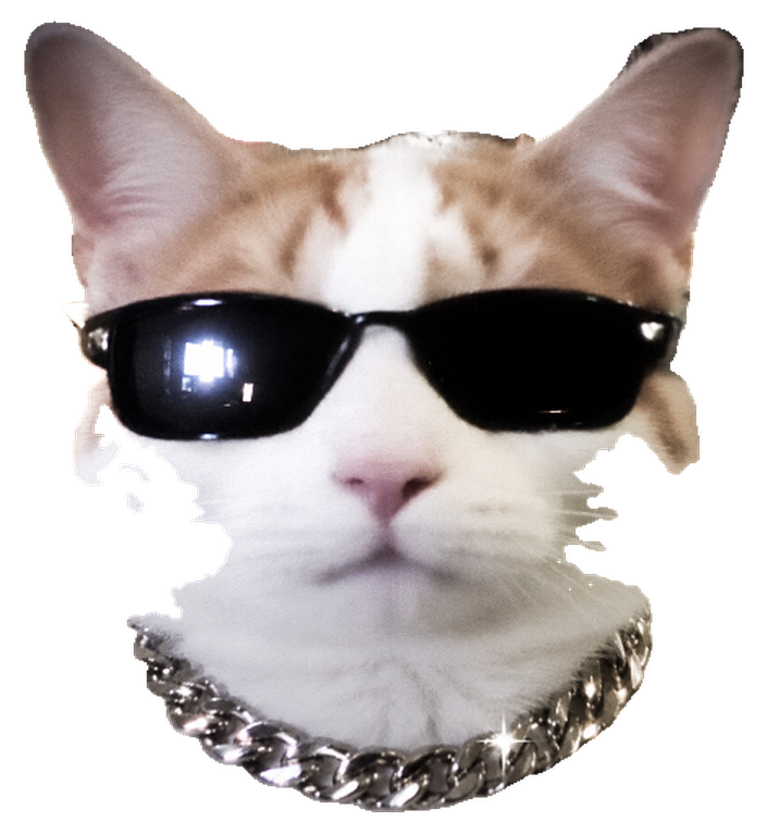 Catsby